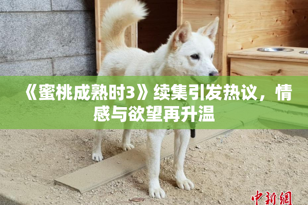 《蜜桃成熟时3》续集引发热议，情感与欲望再升温