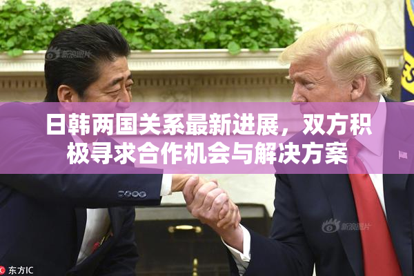 日韩两国关系最新进展，双方积极寻求合作机会与解决方案