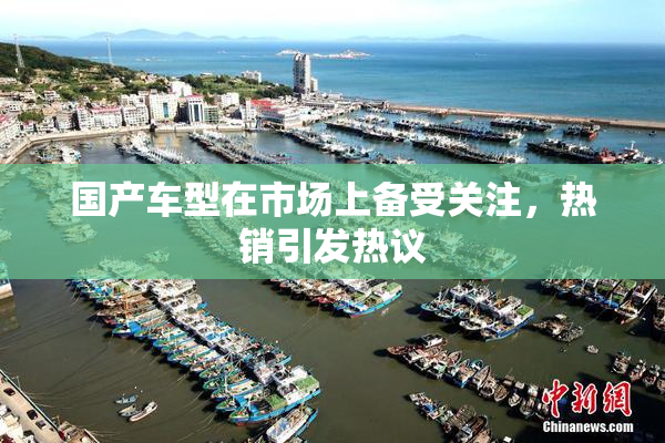国产车型在市场上备受关注，热销引发热议