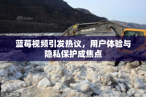 蓝莓视频引发热议，用户体验与隐私保护成焦点