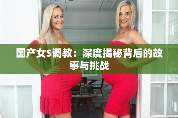 国产女S调教：深度揭秘背后的故事与挑战