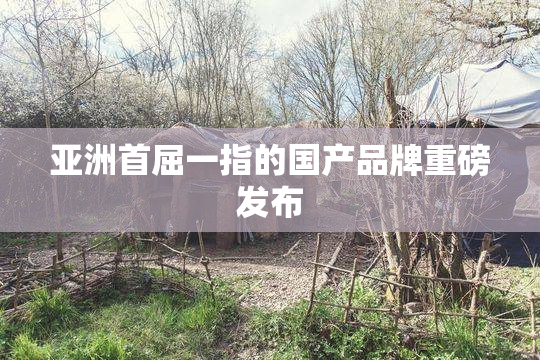 亚洲首屈一指的国产品牌重磅发布