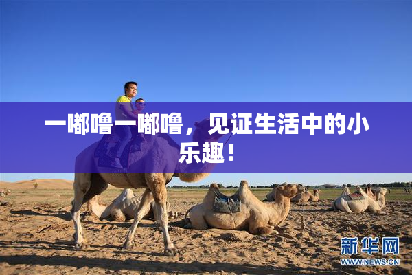 一嘟噜一嘟噜，见证生活中的小乐趣！