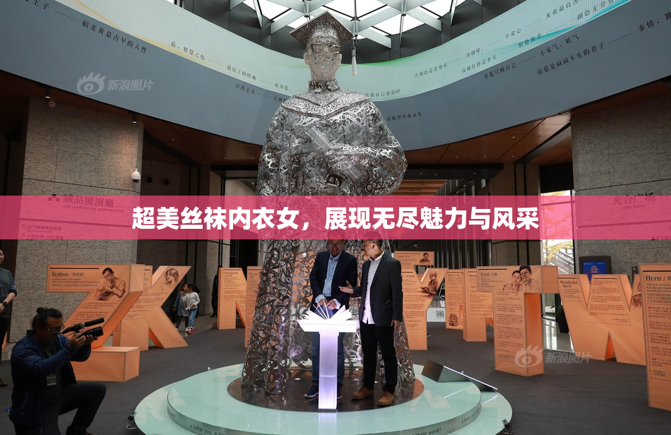 超美丝袜内衣女，展现无尽魅力与风采