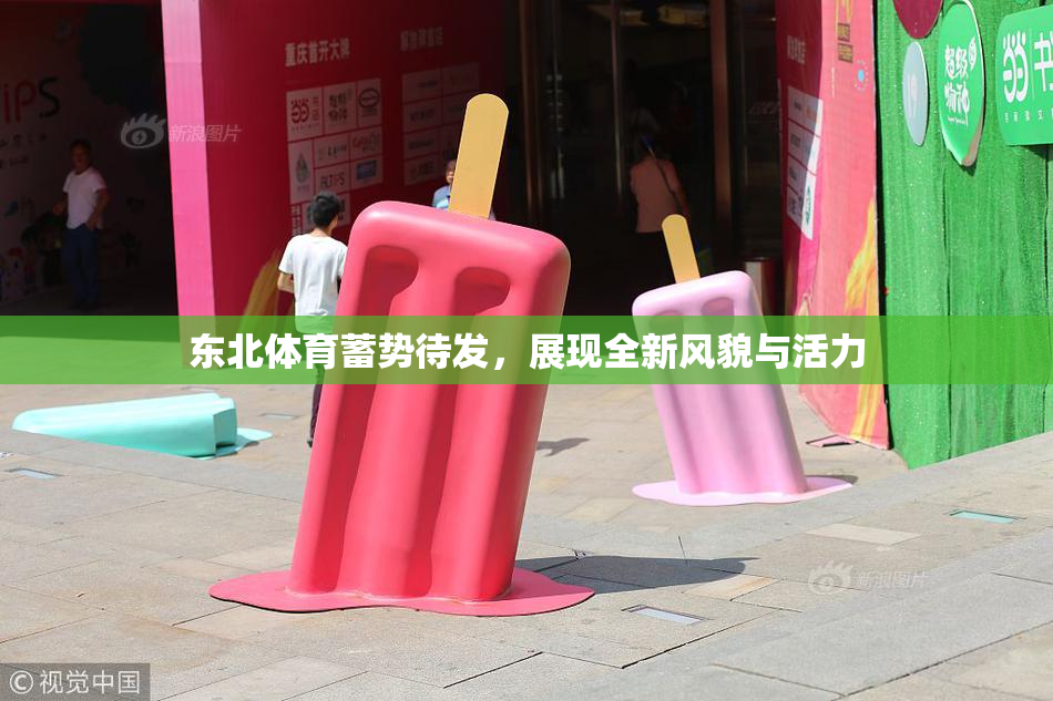东北体育蓄势待发，展现全新风貌与活力