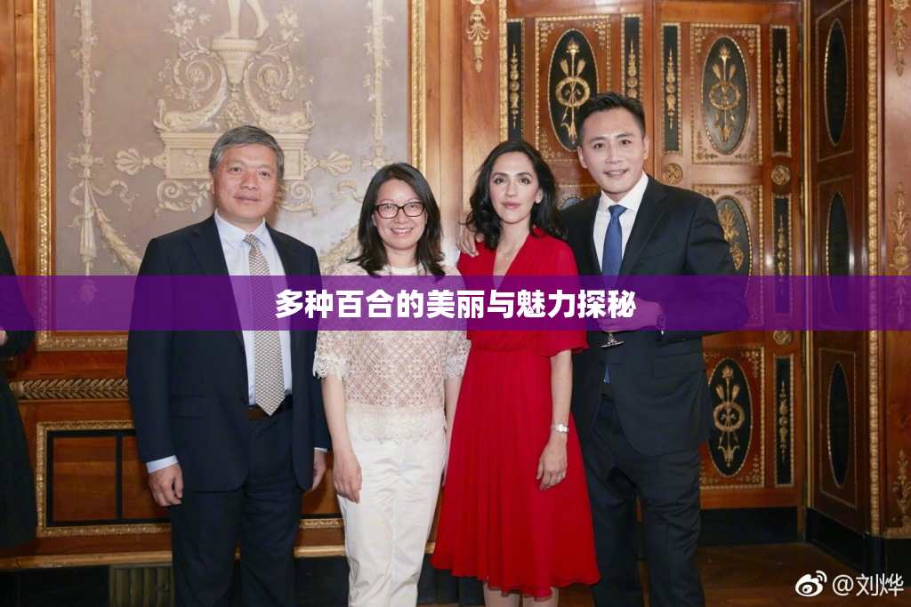 多种百合的美丽与魅力探秘