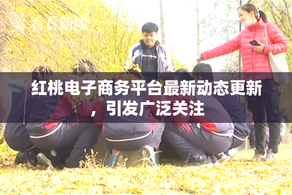 红桃电子商务平台最新动态更新，引发广泛关注
