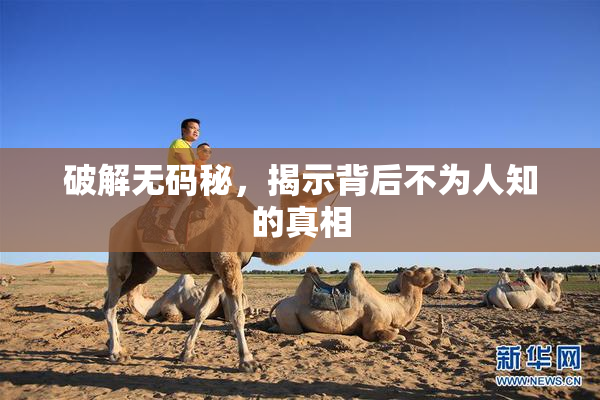 破解无码秘，揭示背后不为人知的真相
