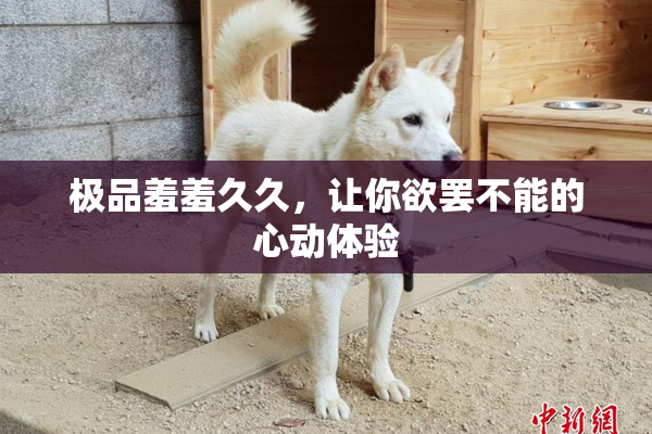 极品羞羞久久，让你欲罢不能的心动体验