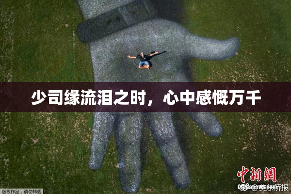少司缘流泪之时，心中感慨万千
