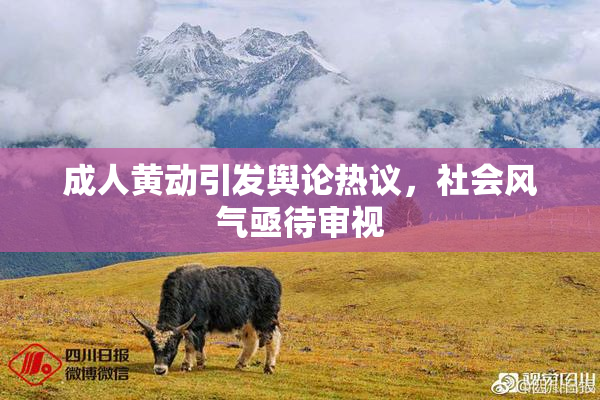 成人黄动引发舆论热议，社会风气亟待审视