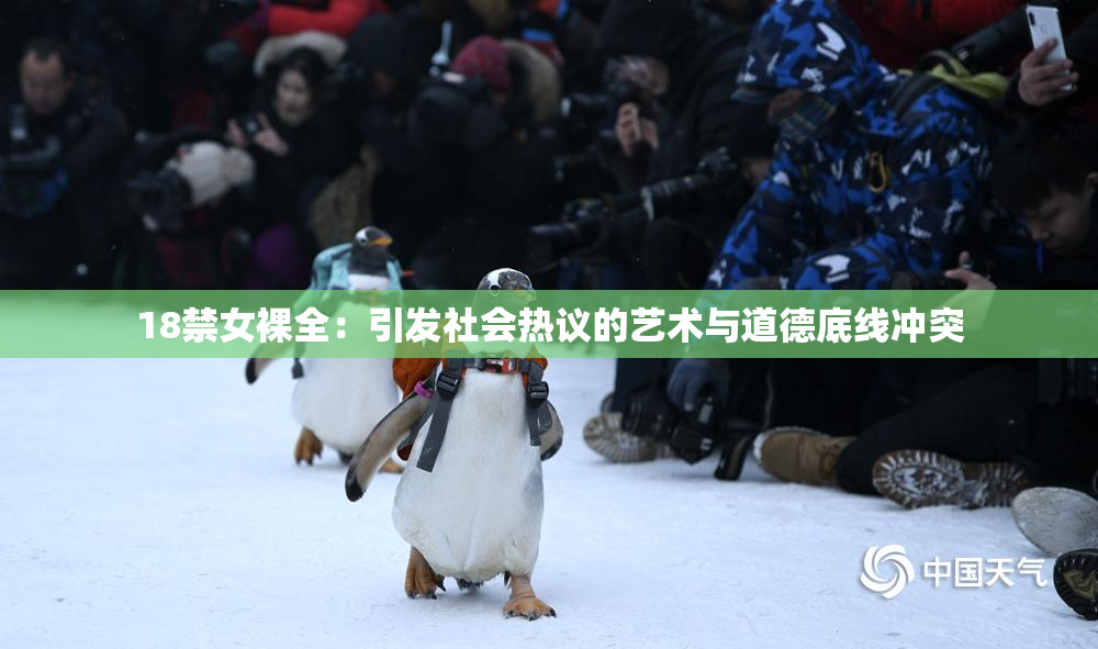 18禁女裸全：引发社会热议的艺术与道德底线冲突