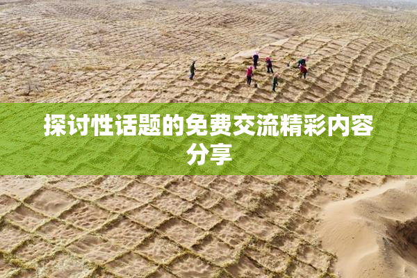 探讨性话题的免费交流精彩内容分享