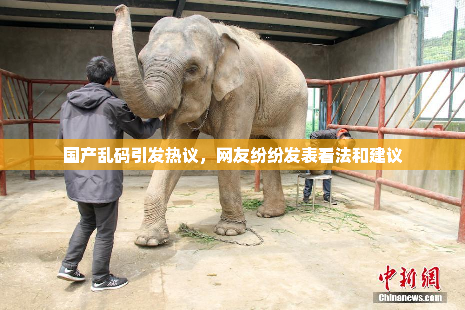 国产乱码引发热议，网友纷纷发表看法和建议