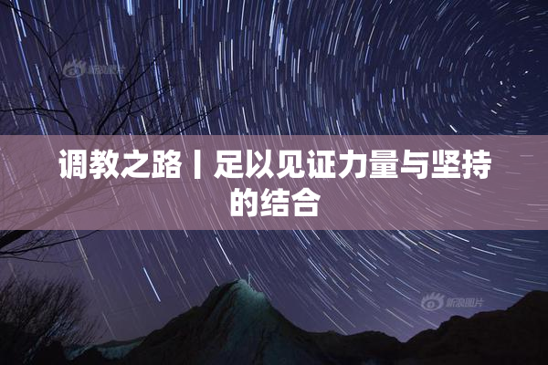 调教之路丨足以见证力量与坚持的结合
