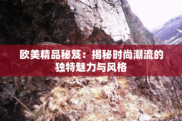 欧美精品秘笈：揭秘时尚潮流的独特魅力与风格
