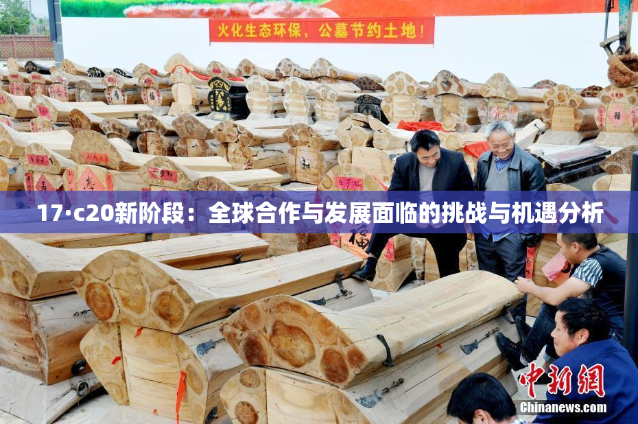 17·c20新阶段：全球合作与发展面临的挑战与机遇分析