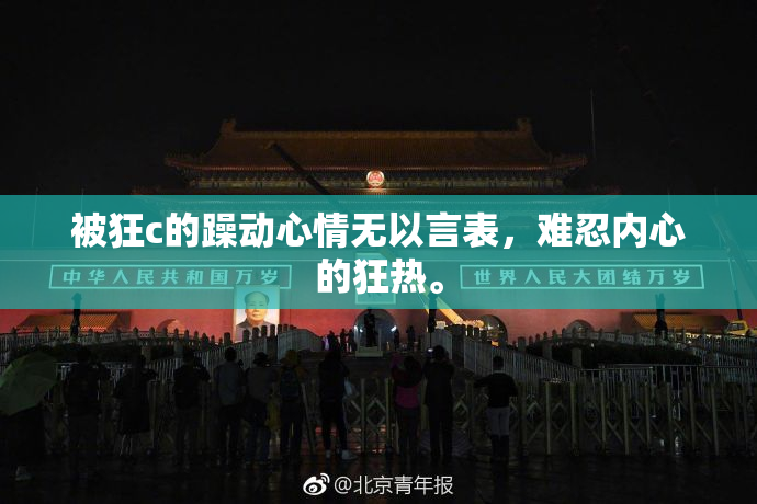 被狂c的躁动心情无以言表，难忍内心的狂热。