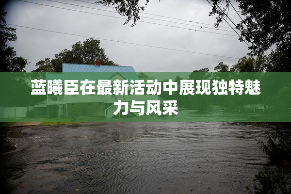 蓝曦臣在最新活动中展现独特魅力与风采