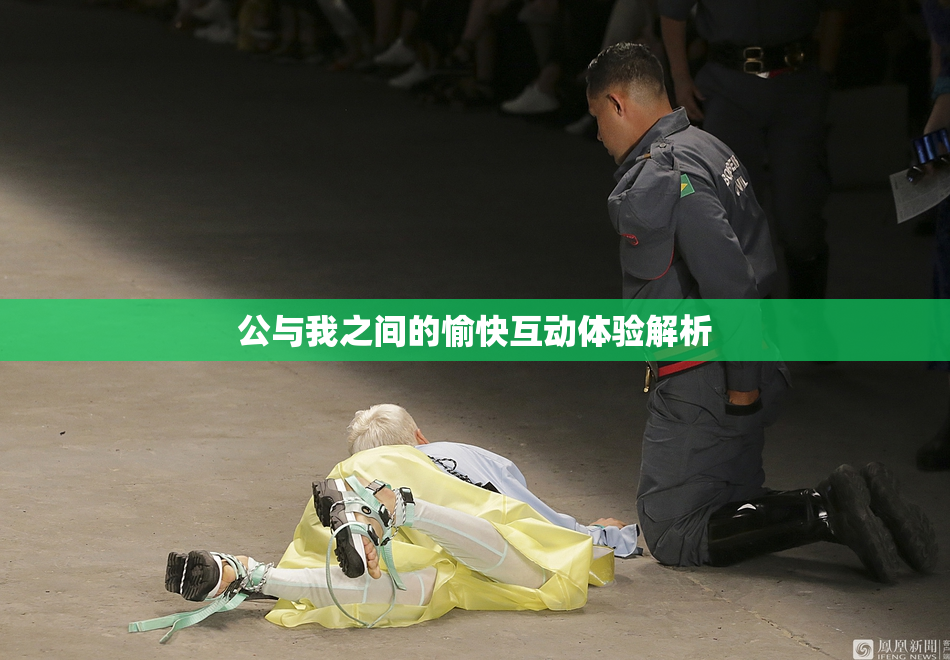 公与我之间的愉快互动体验解析