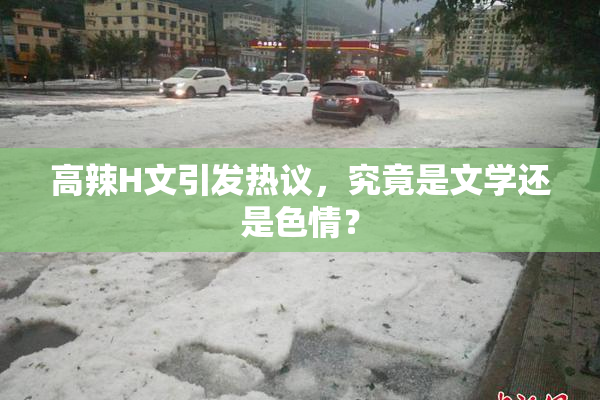 高辣H文引发热议，究竟是文学还是色情？