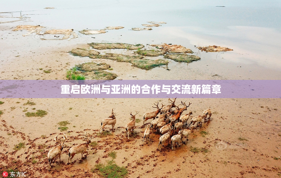 重启欧洲与亚洲的合作与交流新篇章