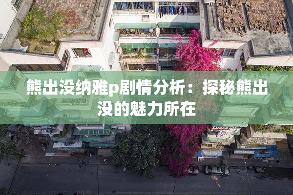 熊出没纳雅p剧情分析：探秘熊出没的魅力所在