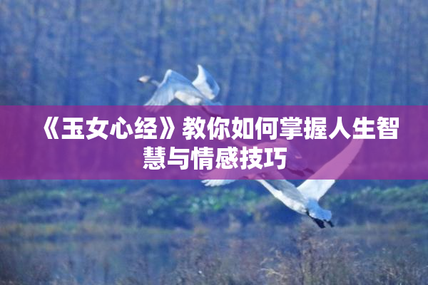 《玉女心经》教你如何掌握人生智慧与情感技巧