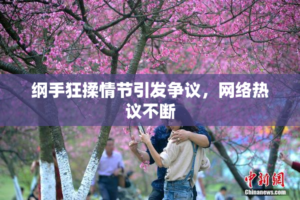 纲手狂揉情节引发争议，网络热议不断