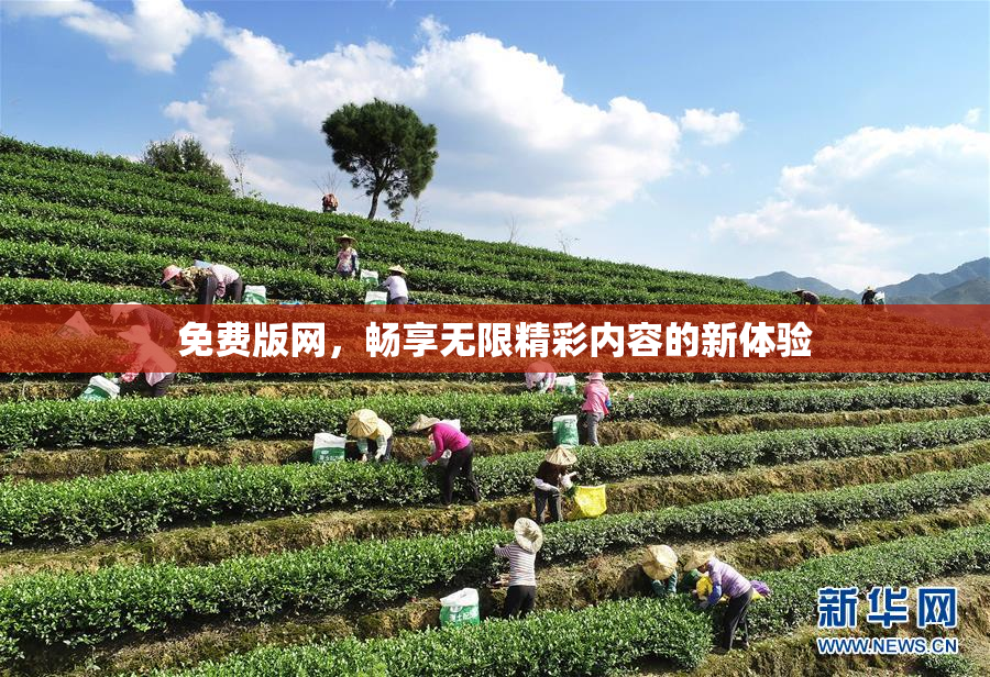 免费版网，畅享无限精彩内容的新体验