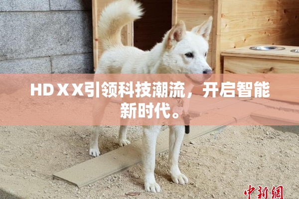 HDⅩX引领科技潮流，开启智能新时代。