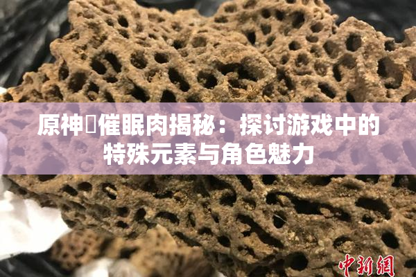原神婬催眠肉揭秘：探讨游戏中的特殊元素与角色魅力