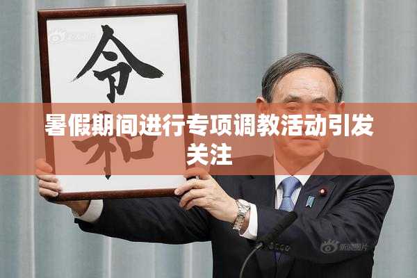 暑假期间进行专项调教活动引发关注