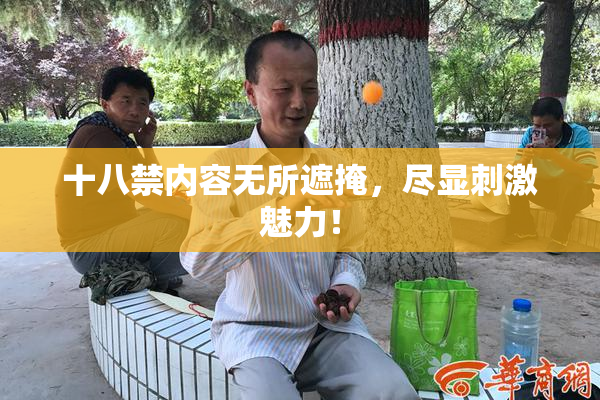 十八禁内容无所遮掩，尽显刺激魅力！