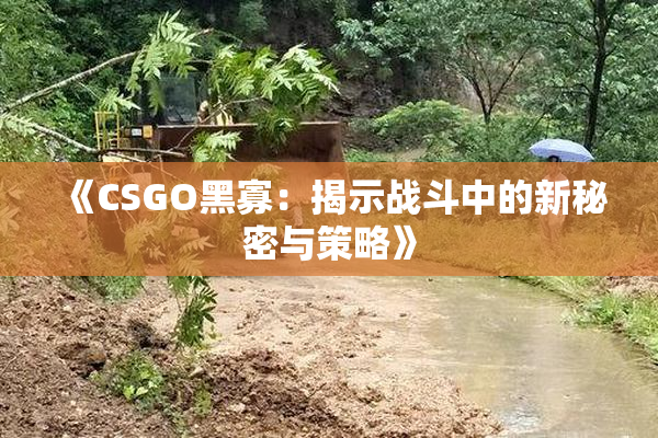 《CSGO黑寡：揭示战斗中的新秘密与策略》