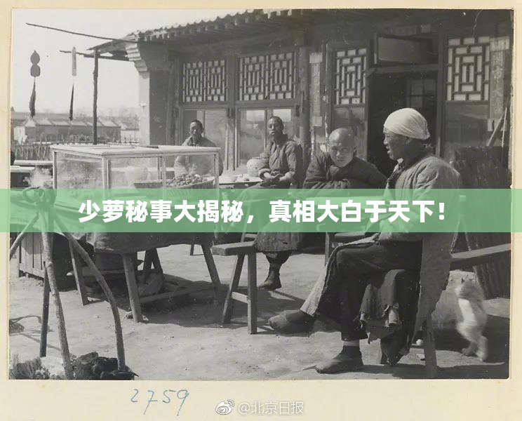 少萝秘事大揭秘，真相大白于天下！
