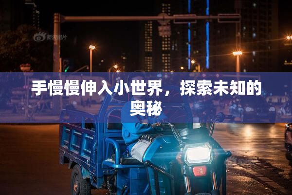 手慢慢伸入小世界，探索未知的奥秘