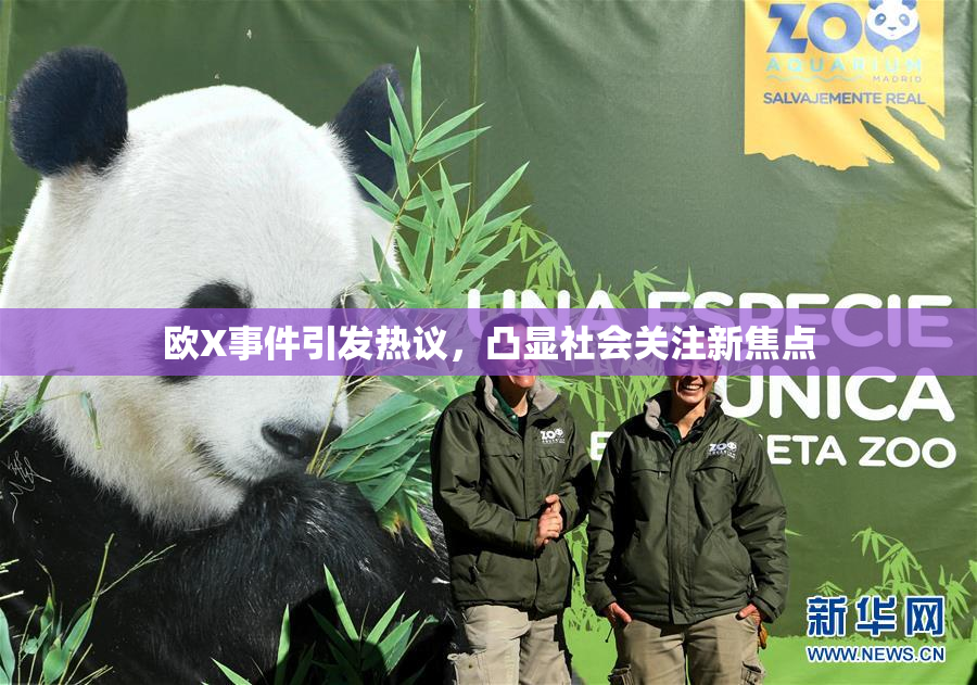 欧X事件引发热议，凸显社会关注新焦点