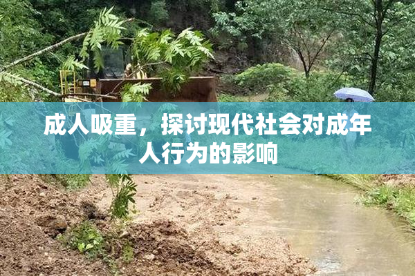 成人吸重，探讨现代社会对成年人行为的影响