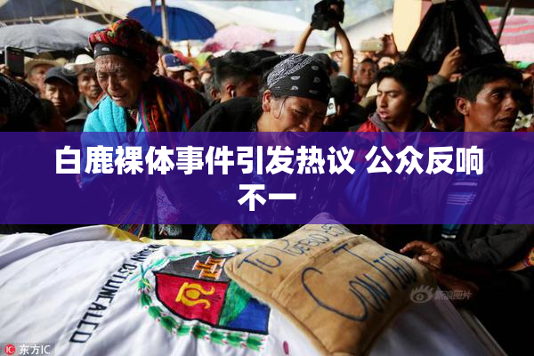 白鹿裸体事件引发热议 公众反响不一