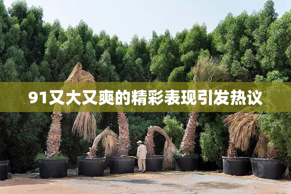 91又大又爽的精彩表现引发热议