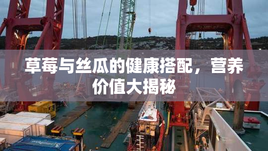 草莓与丝瓜的健康搭配，营养价值大揭秘