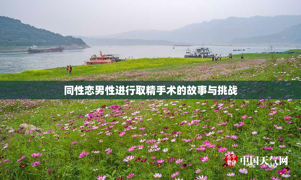 同性恋男性进行取精手术的故事与挑战