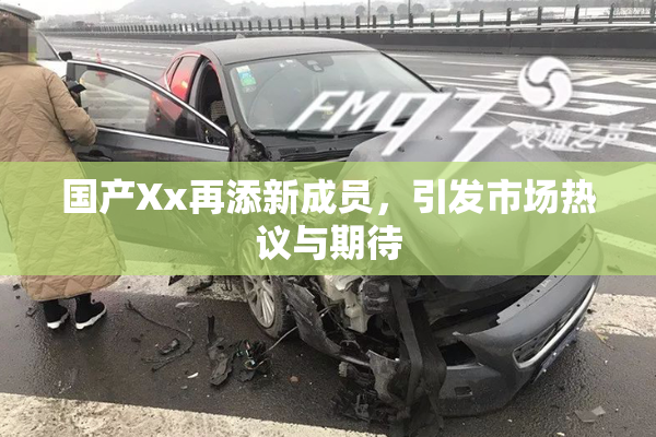 国产Xx再添新成员，引发市场热议与期待