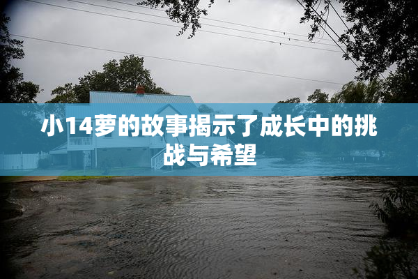小14萝的故事揭示了成长中的挑战与希望