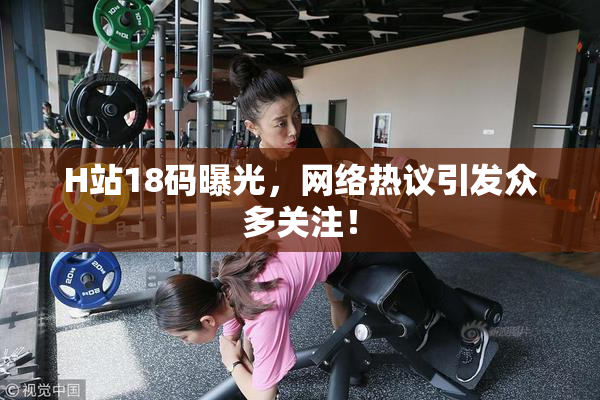 H站18码曝光，网络热议引发众多关注！