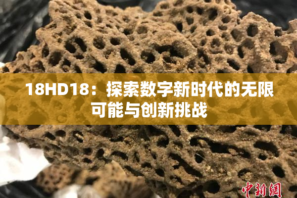 18HD18：探索数字新时代的无限可能与创新挑战