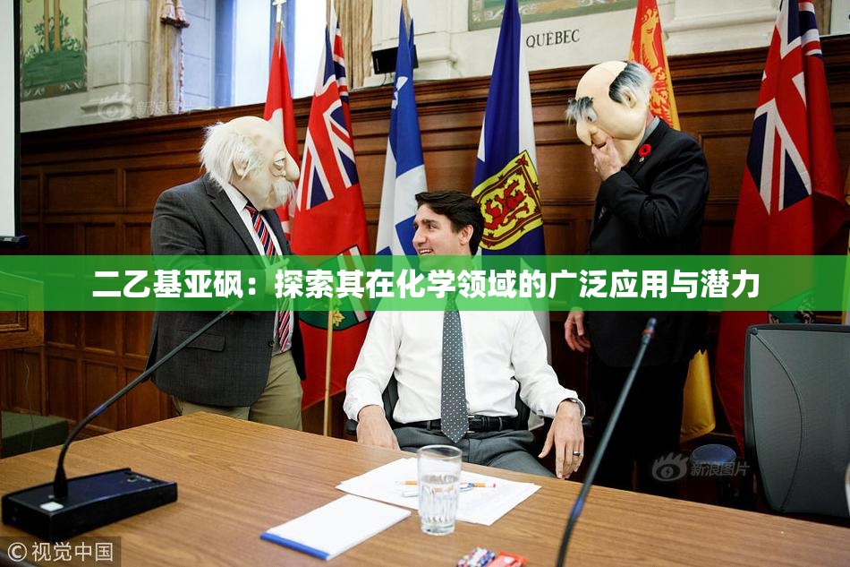 二乙基亚砜：探索其在化学领域的广泛应用与潜力