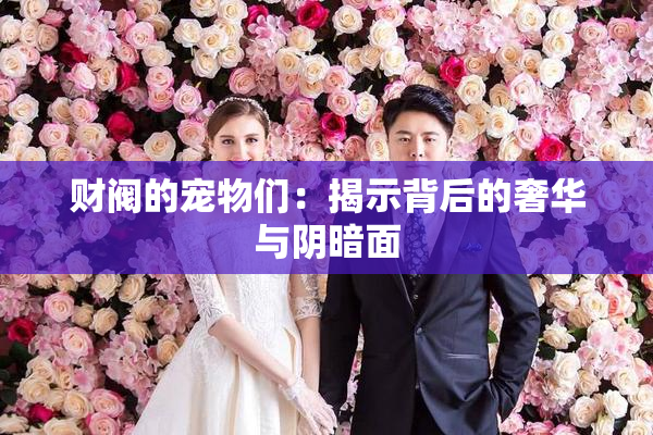 财阀的宠物们：揭示背后的奢华与阴暗面