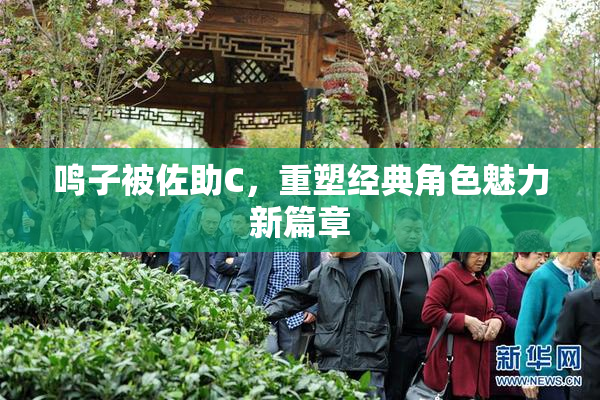 鸣子被佐助C，重塑经典角色魅力新篇章